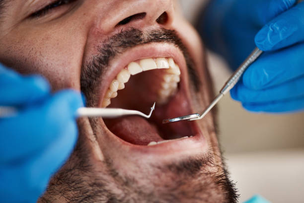 Best Mobile Emergency Dentist in Dodson Branch, TN
