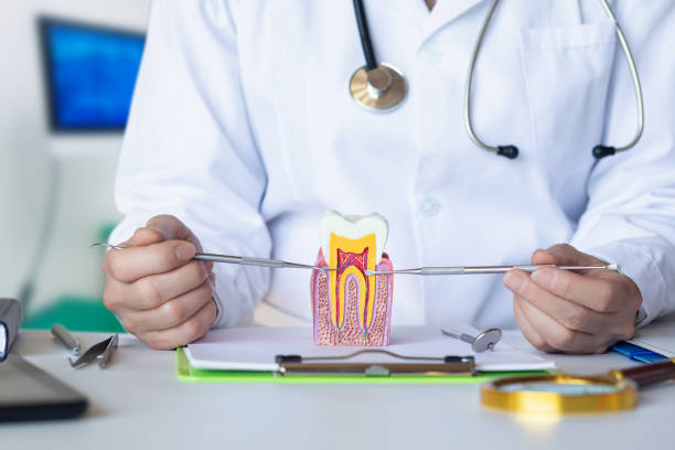 Best Emergency Dental Care for Abscessed Tooth in Dodson Branch, TN